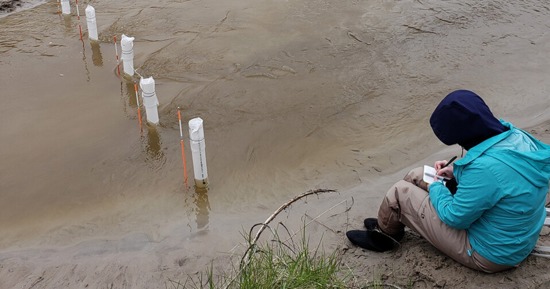 A researcher writes down measurements of groundwater levels near the Loup River. (Troy Gilmore/Biological Systems Engineering)
